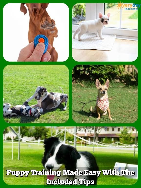 Puppy Training Made Easy With The Included Tips Puppy Training Made Easy With The Included Tips