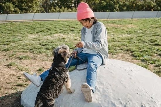 Patience Is A Dog Trainer's Best Tool Patience Is A Dog Trainer’s Best Tool