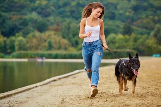 Puppy Training Tips And Tricks You Can Use 1 Puppy Training Tips And Tricks You Can Use