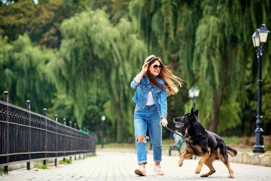 Some Tips For Crate Training And Housebreaking