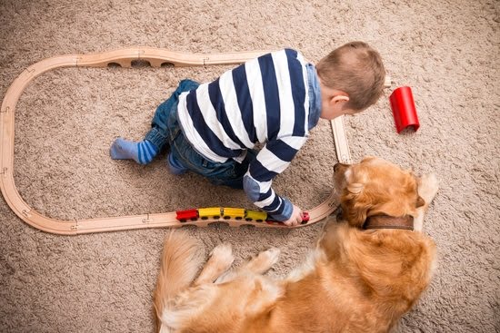 Teach Your Dog Commands Easy And Effectively Teach Your Dog Commands Easy And Effectively