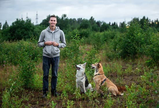 Aggressive Dog Training Pittsburgh