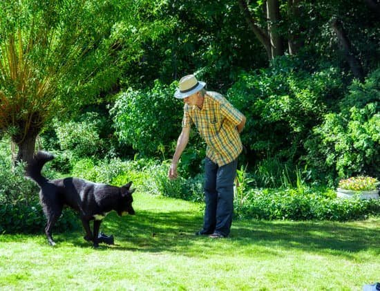 At The End Of Your Leash Dog Training