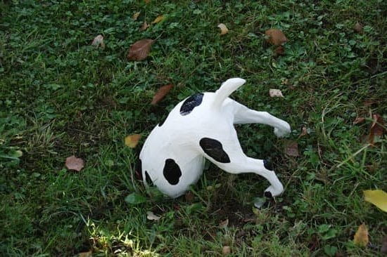 Best Dog Bell For Potty Training Best Dog Bell For Potty Training