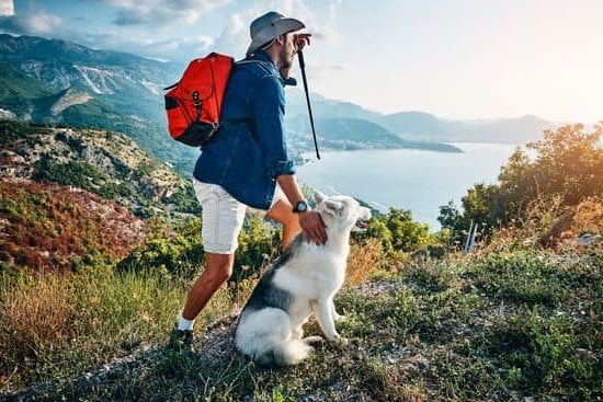 Best Dog Training In Tallahassee Best Dog Training In Tallahassee