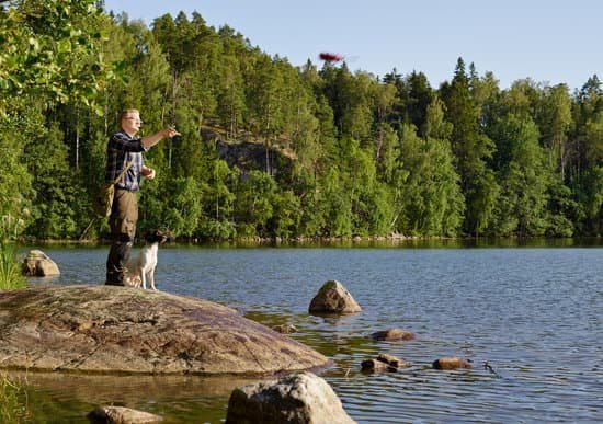 Best Dog Training Leashes Best Dog Training Leashes