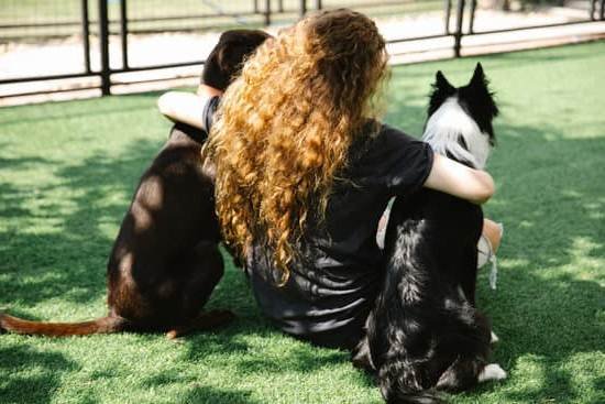 Best Dog Training Shock Collar With Remote 1 Best Dog Training Shock Collar With Remote