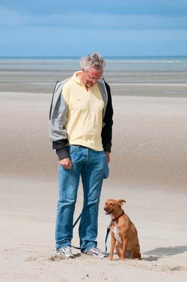 Best Dog Training St Louis