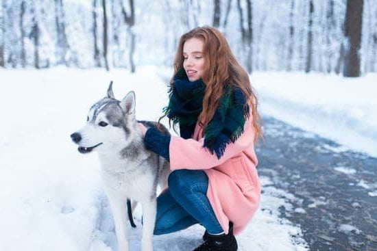Best Training Collar For Long Haired Dogs
