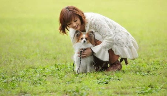 Best Way To Potty Train An Older Dog 1 Best Way To Potty Train An Older Dog