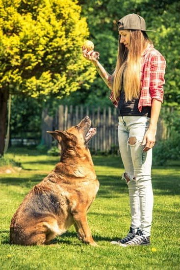 Boifun Dog Training Collar Manual