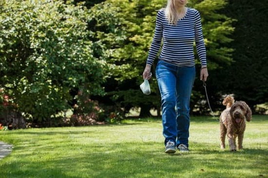 Can You Train A Dog To Pee Inside And Outside Can You Train A Dog To Pee Inside And Outside