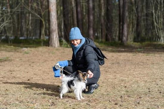 Crate Training A Rescue Dog With Separation Anxiety Crate Training A Rescue Dog With Separation Anxiety