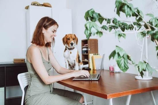 Dog Care Dog Training Collar