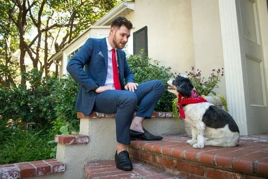 Dog Obedience Training Erie Pa