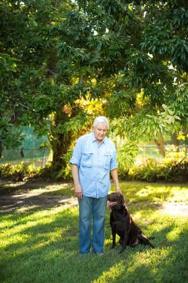 Dog Obedience Training Oahu 1 Dog Obedience Training Oahu