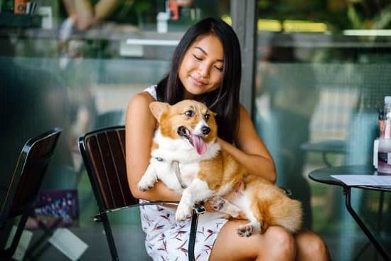 Dog Potty Training Atlanta Dog Potty Training Atlanta