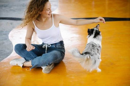Dog Trainer Gets Bitten 1 Dog Trainer Gets Bitten