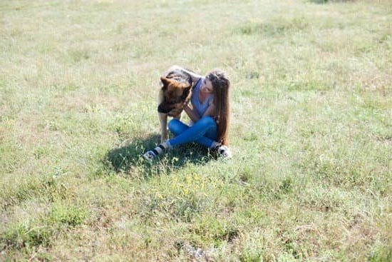 Home Defense Dog Training 1 Home Defense Dog Training