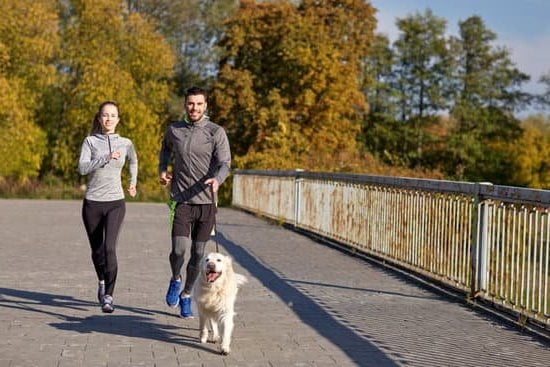 House Of Klein Dog Training 1 House Of Klein Dog Training