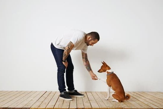 How To Get A Dog Trained For Emotional Support How To Get A Dog Trained For Emotional Support