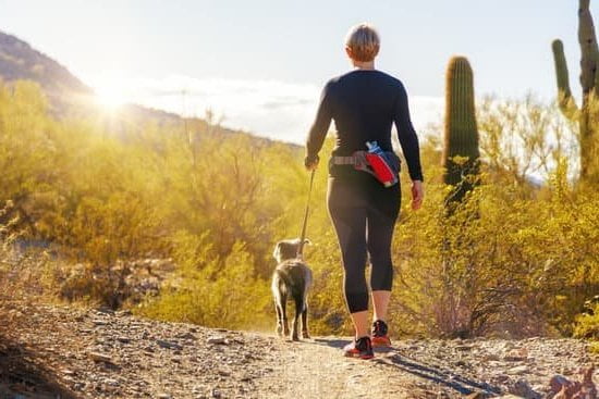 How To Get My Puppy Trained As A Service Dog How To Get My Puppy Trained As A Service Dog