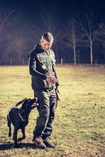 How To Pee Pad Train A Dog 1 How To Pee Pad Train A Dog