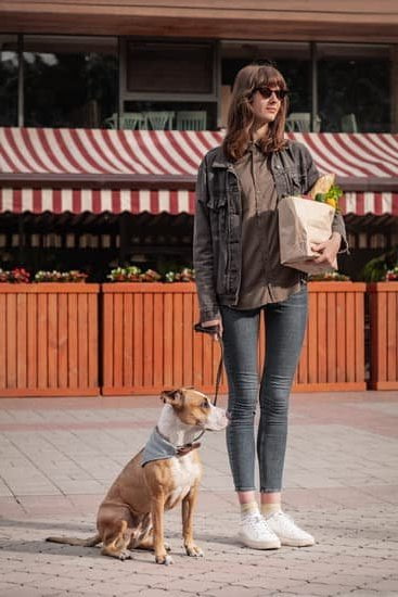 How To Train A Dog To Use A Potty Bell How To Train A Dog To Use A Potty Bell
