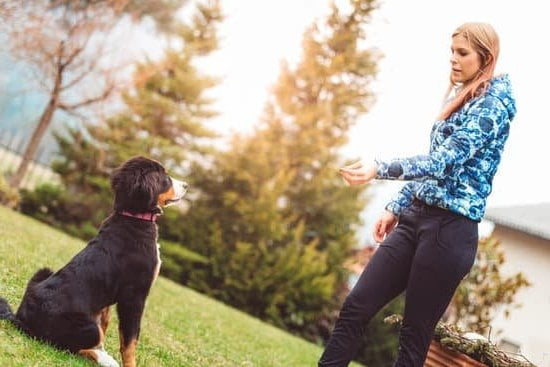 How To Train A Puppy To Be A Guard Dog