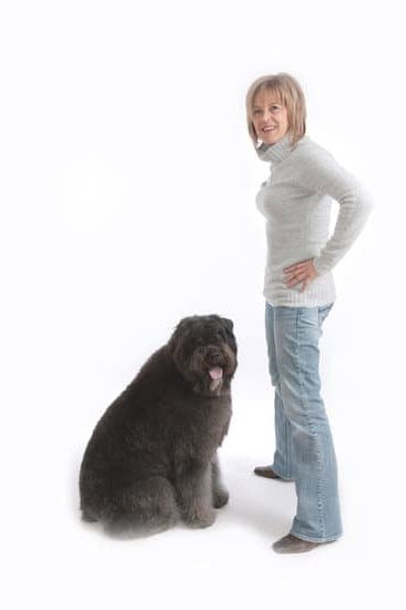 Best Dog Trainer In Seattle Best Dog Trainer In Seattle