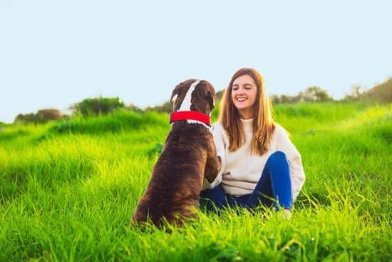 Best Gift For Dog Trainer 1 Best Gift For Dog Trainer