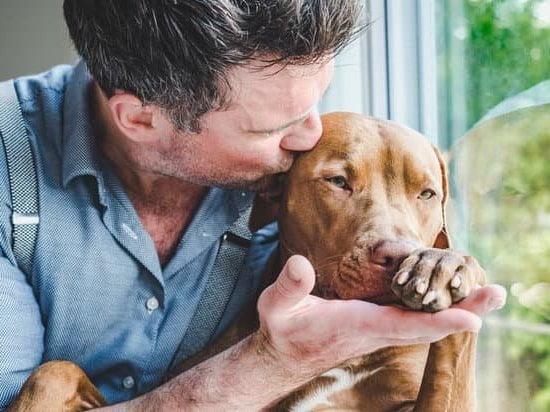 Dog Obedience Training Jersey City