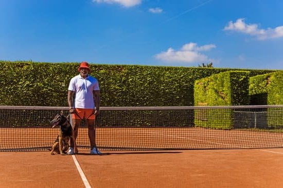Dog Training With Choke Collar Dog Training With Choke Collar