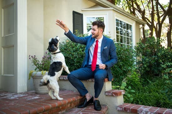 Dr Trainer Dog Collar Manual Dr Trainer Dog Collar Manual