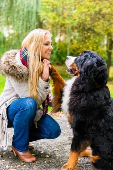 How To Train Dog Potty Indoors How To Train Dog Potty Indoors