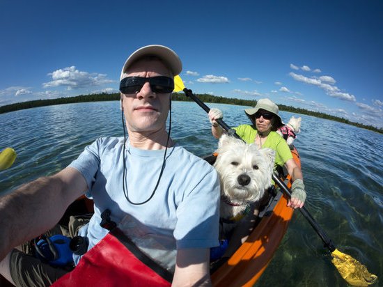Best Training Clicker For Dogs
