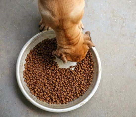 Best Treats For Training Dogs Best Treats For Training Dogs
