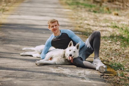 How Can You Train A Dog Not To Bark How Can You Train A Dog Not To Bark