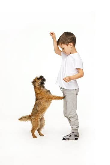 How To Do Crate Training With A Dog 1 How To Do Crate Training With A Dog