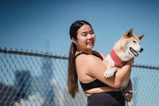 How To Leash Train Your Dog Not To Pull 1 How To Leash Train Your Dog Not To Pull