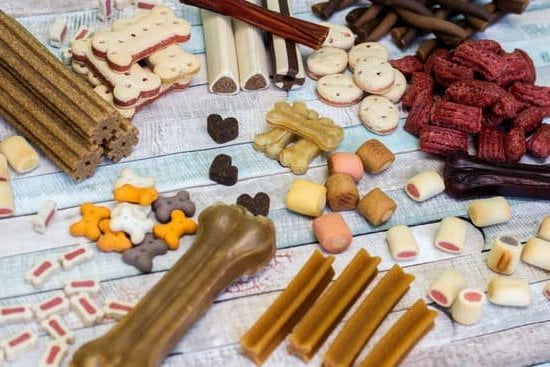 How To Train Dog Not Bark At Strangers 1 How To Train Dog Not Bark At Strangers