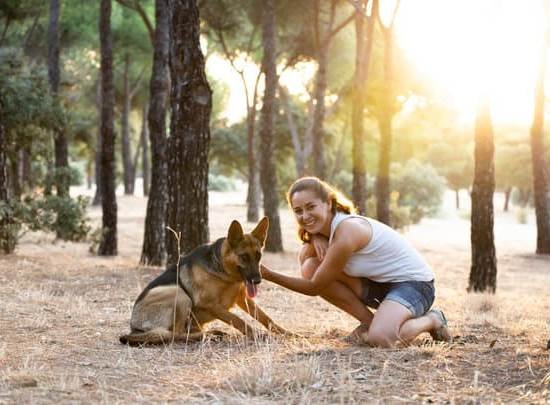 How To Train Dog To Not Bark 1 How To Train Dog To Not Bark