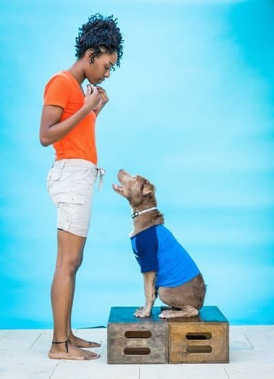 How To Train Your Neighbor'S Dog To Stop Barking 1 How To Train Your Neighbor’S Dog To Stop Barking