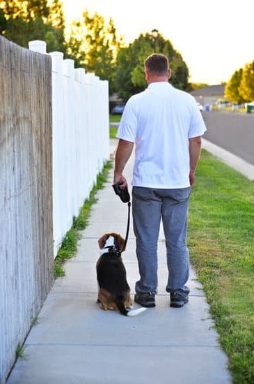 Hypoallergenic Dog Training Treats Hypoallergenic Dog Training Treats