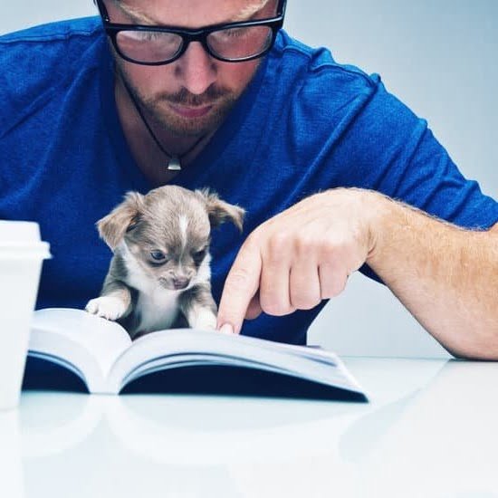 Can One Service Dog Be Trained To Help Two People Can One Service Dog Be Trained To Help Two People