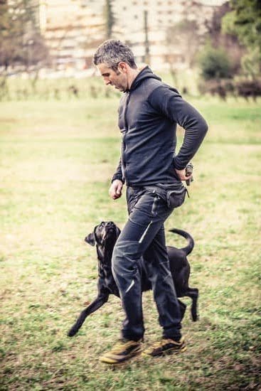 Can You Train A Dog To Control His Tail