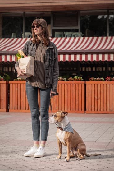 Can You Train Your Own Service Dog In Ontario