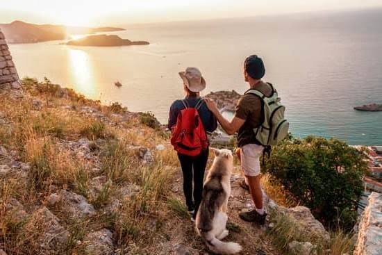 How Do You Use Training Pads For Dogs 1 How Do You Use Training Pads For Dogs