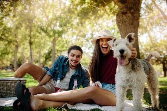 How Much Does Service Dog Training