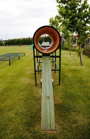 How Old Should A Dog Be To Start Service Training How Old Should A Dog Be To Start Service Training